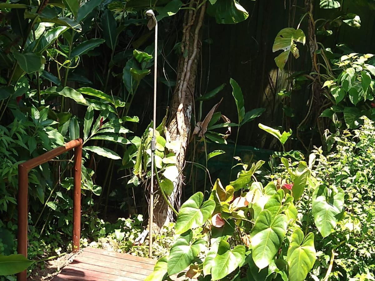 Casa No Morro - Charme Em Meio A Natureza Pertinho Da Praia 3 Dormitorios São Sebastião Exterior foto